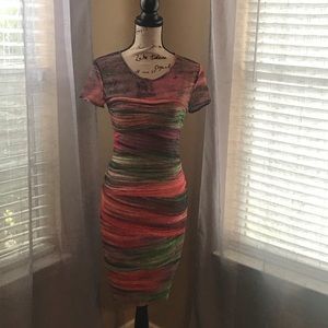 BCBG Fitted Multicolor Dress